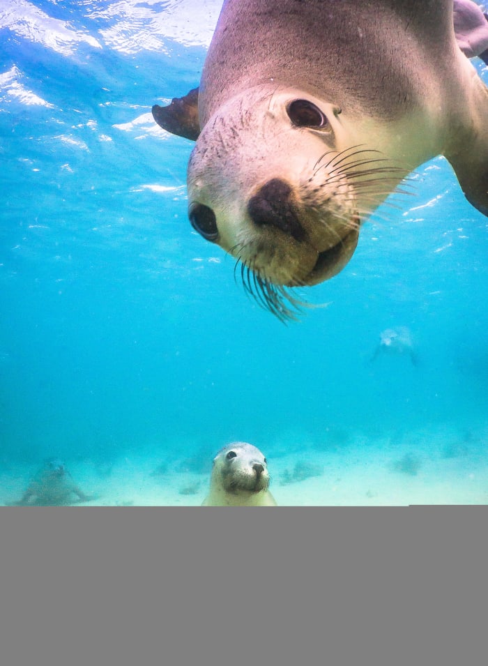 154934 - GALLERY_0.jpg